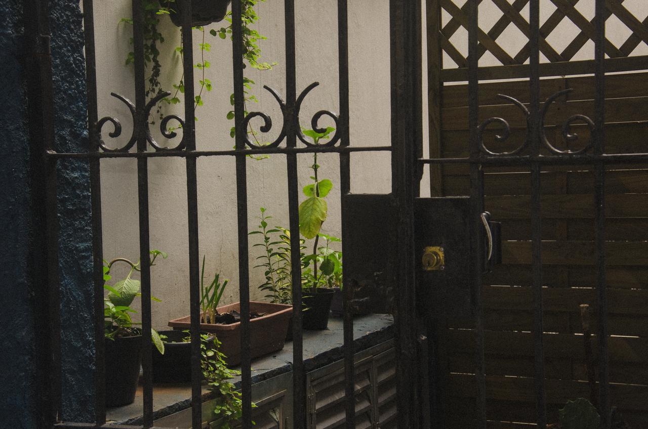 The Backpacker Cat Hostel Rio de Janeiro Zewnętrze zdjęcie